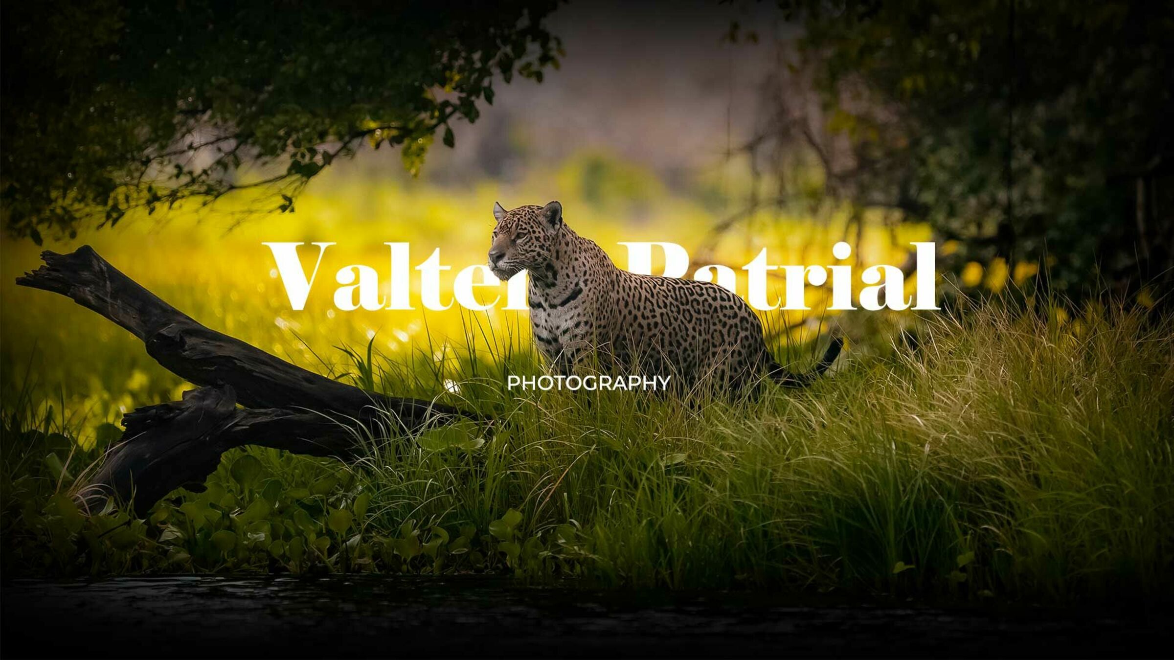 Foto de Valter Patrial 0