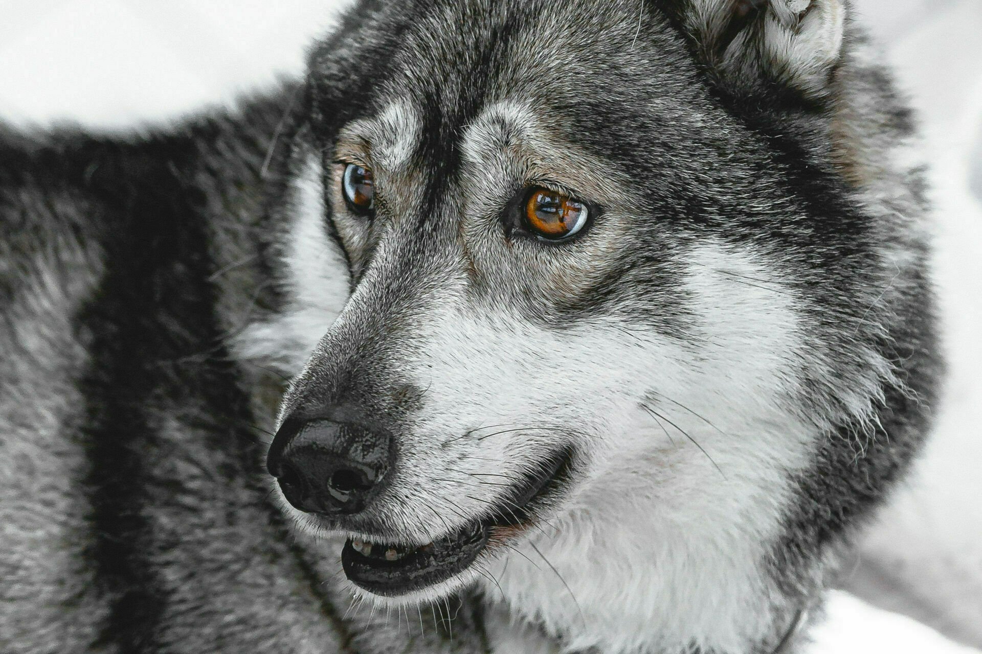 Foto Portfólio - Imagem 11