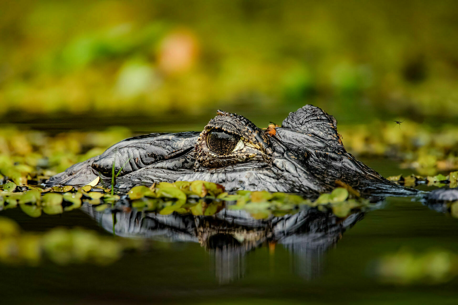 Foto Portfólio - Imagem 2