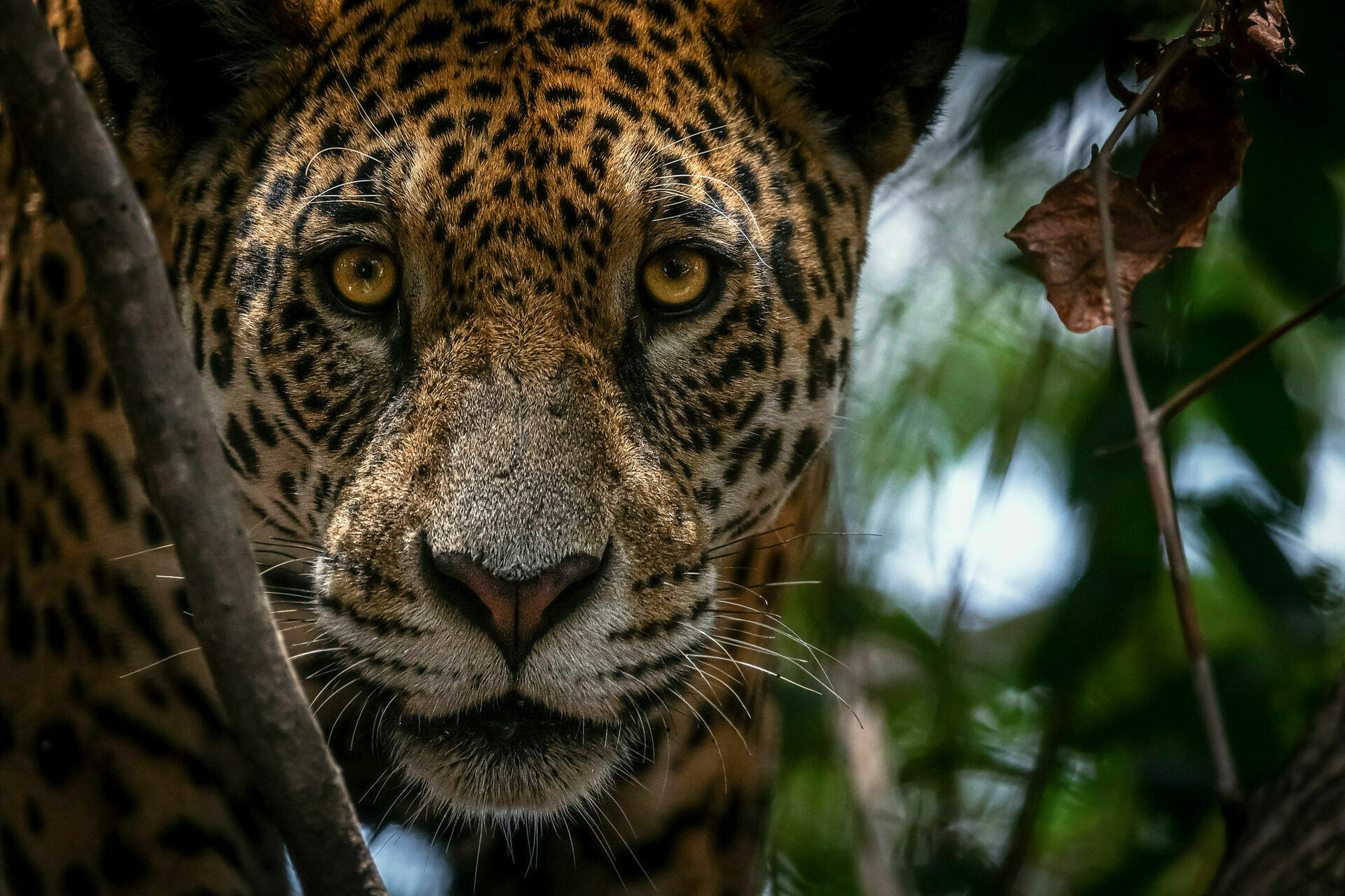 Foto Portfólio - Imagem 5