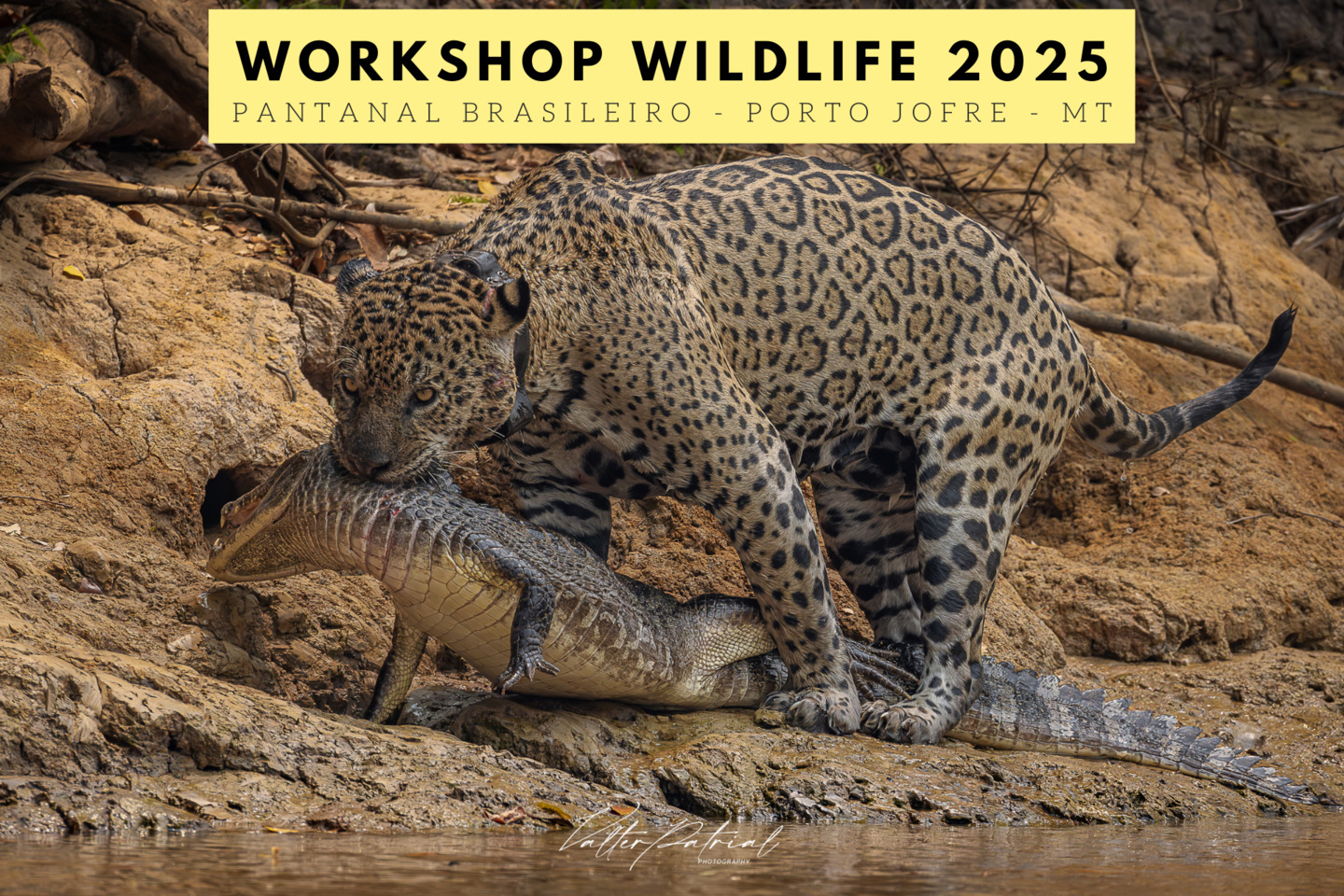 Pantanal 2025 Pantanal 2025