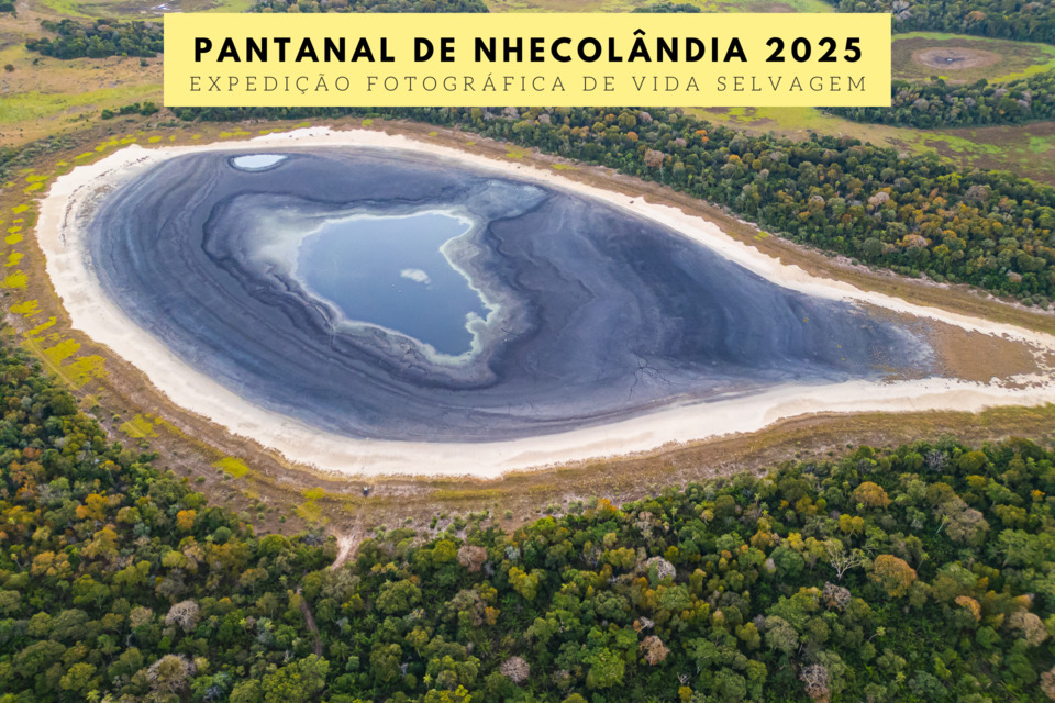 Pantanal de Nhecolândia 2025